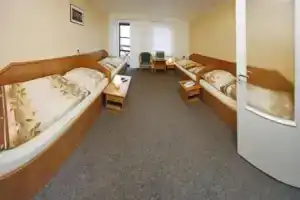 Colatransport, Брно