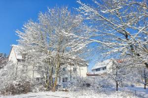 Hotel «Am Kurpark Späth», Бад-Виндсхайм