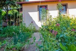 Little garden house, Риека