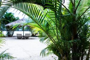 Отель «Sabay Beach», Кампот
