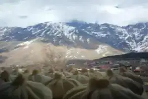 Гостевой дом «Суя», Казбеги