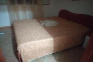 Silvia' s house, Скоглитти