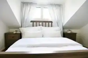 Roost Agricola, Хельсинки