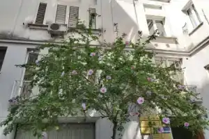 Vittoria Guest House Salerno, Салерно