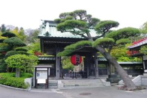 Kamakura COCON, Фудзисава