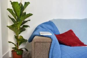 Bright 1 Bedroom Apartment in the Centre of Brighton, Брайтон