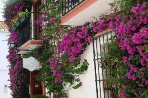 Отель «Marbella», Марбелья