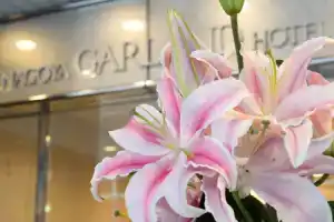 Nagoya Garland Hotel, Нагоя