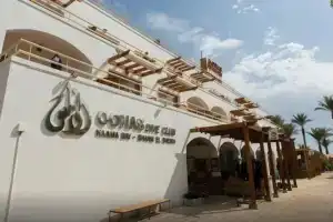 Отель «Oonas Dive Club», Шарм-эль-Шейх