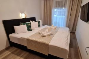 Alexandra Apartman, Кестхей