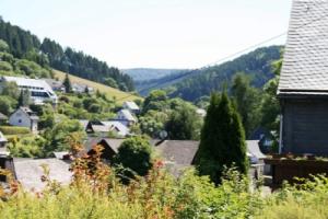 Apartment in Willingen Near Ski Slopes, Виллинген