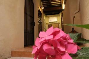 B&B Porta Santa Lucia, Фермо