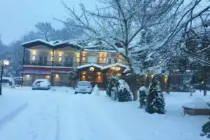 Krikonis Hotel, Янина