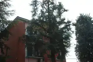 Hotel «Tuscolano», Болонья