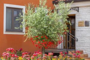 Hotel «Natura Vilanija», Умаг