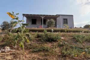 Zeus Kir Evi, Бозджаада