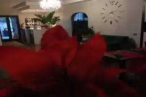 Hotel «La Rosetta», Скаури
