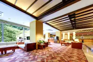 Hotel «Okuyumoto», Хаконе