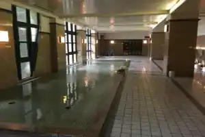 Nanki Shirahama Resort Hotel, Сирахама
