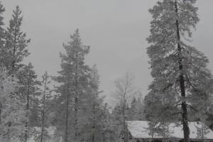 Saariselkä Inn Log Cabins, Саариселькя
