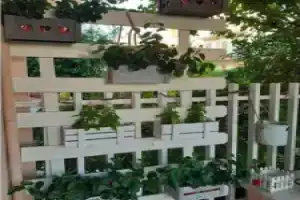 La Casa delle Conchiglie, Сабаудия