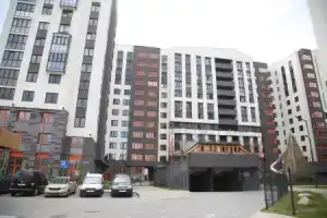 Дали на улице Маршала Борзова, Калининград