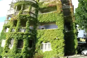 Grand Hotel Toplice - Small Luxury Hotels of the World, Блед