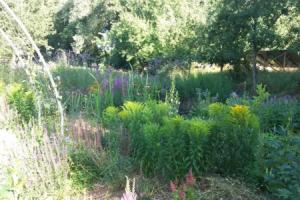 De Geheime Tuin - Boshuis, Эпе