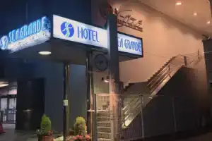 Seagrande Shimizu Station Hotel, Сидзуока
