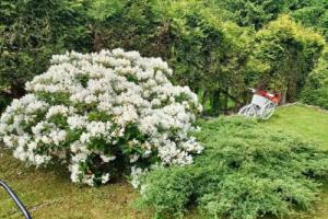 Мини-отель «Pasja», Сверадув-Здруй