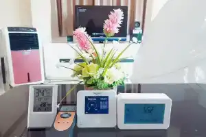 Welnez World Residence Pattaya, Джомтьен