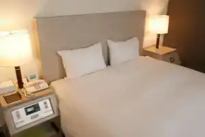 Chisun Hotel Kamata, Токио