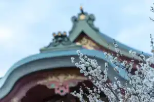 Hotel «Ninja Black», Киото