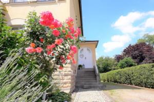 VILLA FREIA Dresden & Großer Garten Wohlfühlfactory by Freia, Дрезден