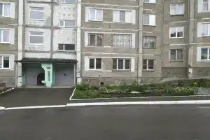 Барбарис на улице Юбилейная 129, Березники