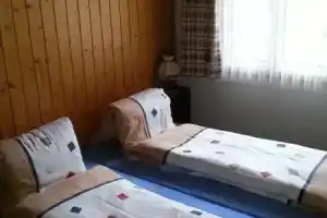Gletscherbeck Wüthrich, Гриндельвальд