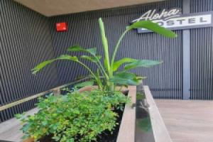 Cantabria Surf Hostel, Сантандер