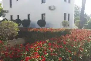 Mazotos Hilltop Apartment-FREE Welcome Package, Мазотос