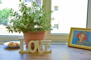 ✦ The Muse Apartment II, Тирана