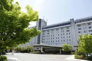 Hida Takayama Onsen Takayama Green Hotel, Такаяма