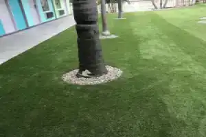 Tropical Inn & Suites, Клируотер Бич