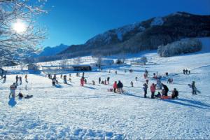 Nice apartment at 900 m from Lake Bled with views over Stol mountain, Блед