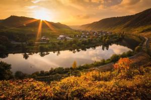 Ferienweingut Gansen Hochgenuss 2, Эрнст