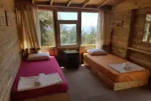 Shiva Camp, Фаралия