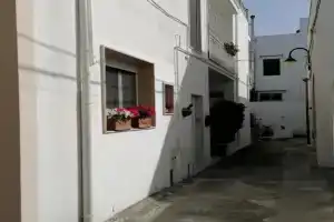 Casa Low Cost, Тулье
