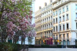 Hotel «des Celestins», Лион