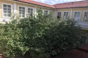 Antikhan Hotel, Измир