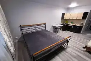 Апартаменты на Алексеевской 64/2, Хабаровск