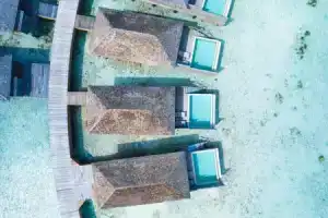 Jawakara Islands Maldives, Лавиани