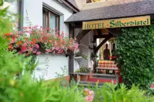 Hotel «Silberdistel», Хинтерцартен
